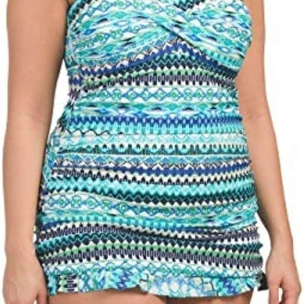 Profile by Gottex Plus Buena Vista One-Piece Swim Dress, 22W